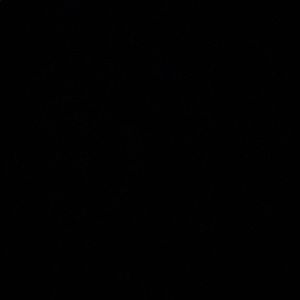 Meet your Posher, Jamarion